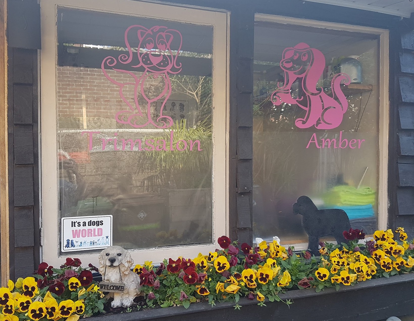 De trimsalon van Amber: twee ramen met roze stickers van een hond en de woorden Trimsalon en Amber, met een bloembak vol viooltjes